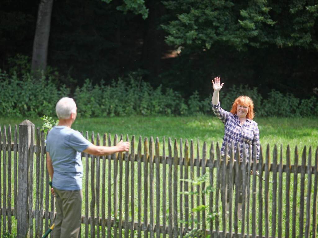 Замельные споры